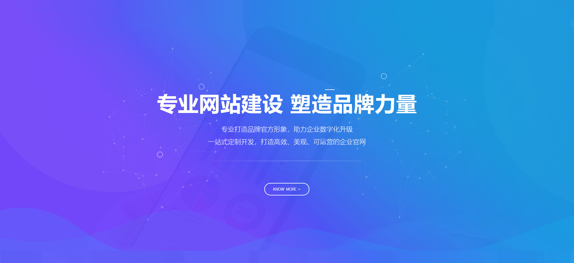 广安区建站-专业网站建设 塑造品牌力量