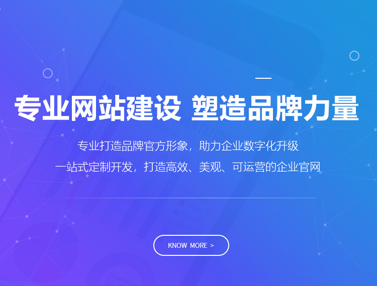 广安区建站-专业网站建设 塑造品牌力量